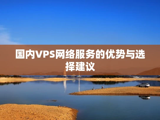 国内VPS网络服务的优势与选择建议