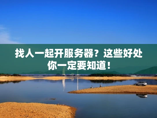 找人一起开服务器？这些好处你一定要知道！