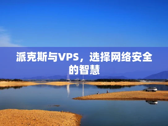 派克斯与VPS，选择网络安全的智慧
