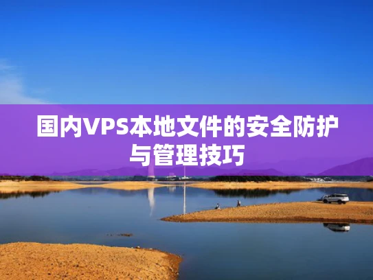 国内VPS本地文件的安全防护与管理技巧