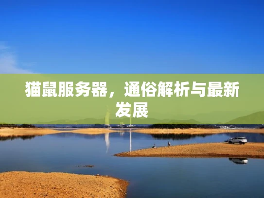 猫鼠服务器，通俗解析与最新发展