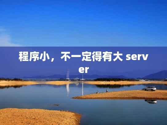 程序小，不一定得有大 server