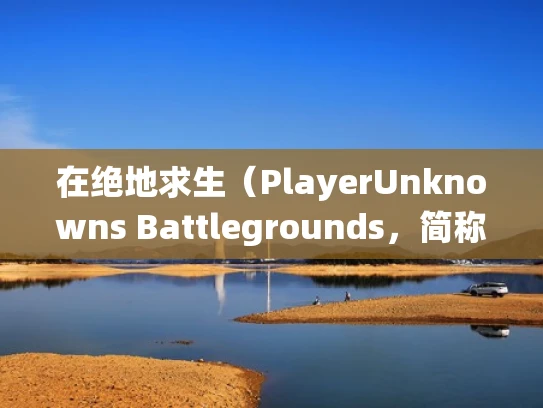 在绝地求生（PlayerUnknowns Battlegrounds，简称Pubg）中，统一切换服务器是指在不同服务器之间无缝切换，保持游戏体验的连贯性。以下是如何实现统一切换服务器的步骤和注意事项