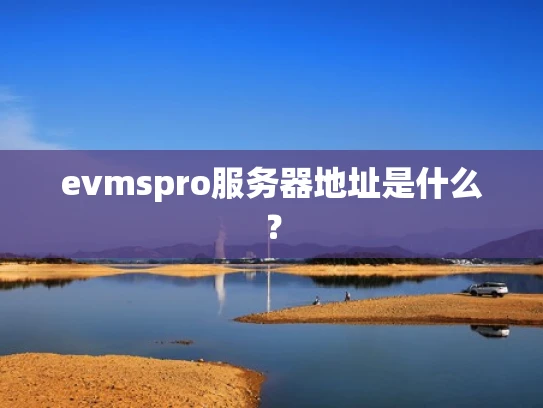 evmspro服务器地址是什么？