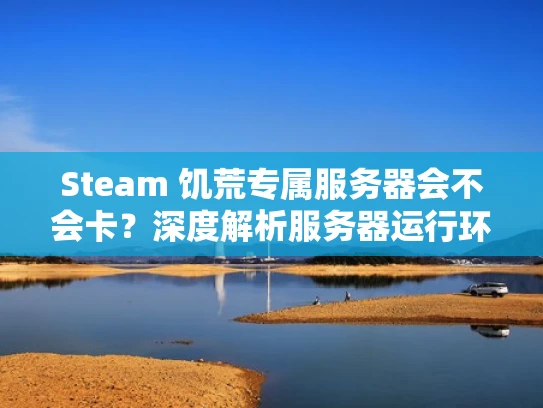 Steam 饥荒专属服务器会不会卡？深度解析服务器运行环境与优化建议