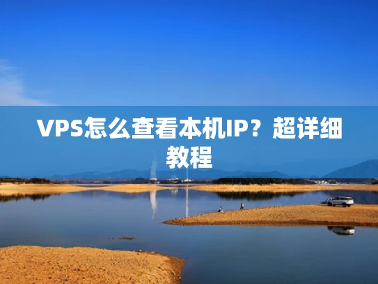 VPS怎么查看本机IP？超详细教程