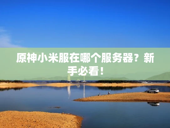 原神小米服在哪个服务器？新手必看！