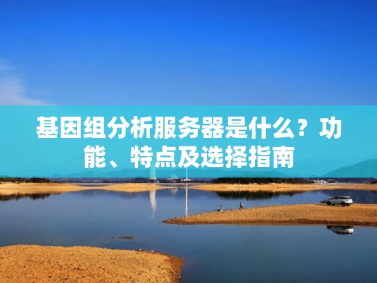 基因组分析服务器是什么？功能、特点及选择指南