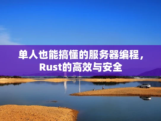 单人也能搞懂的服务器编程，Rust的高效与安全