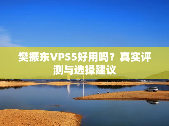 樊振东VPS5好用吗？真实评测与选择建议