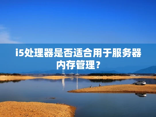 i5处理器是否适合用于服务器内存管理？