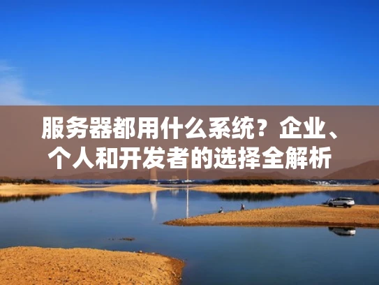 服务器都用什么系统？企业、个人和开发者的选择全解析