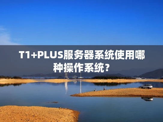 T1+PLUS服务器系统使用哪种操作系统？