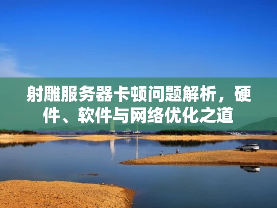 射雕服务器卡顿问题解析，硬件、软件与网络优化之道