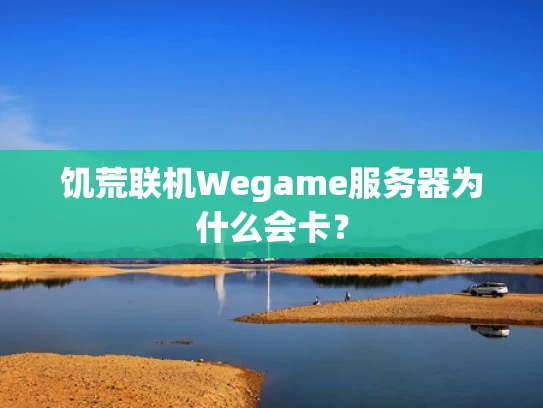 饥荒联机Wegame服务器为什么会卡？