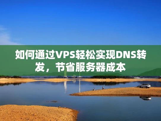 如何通过VPS轻松实现DNS转发，节省服务器成本