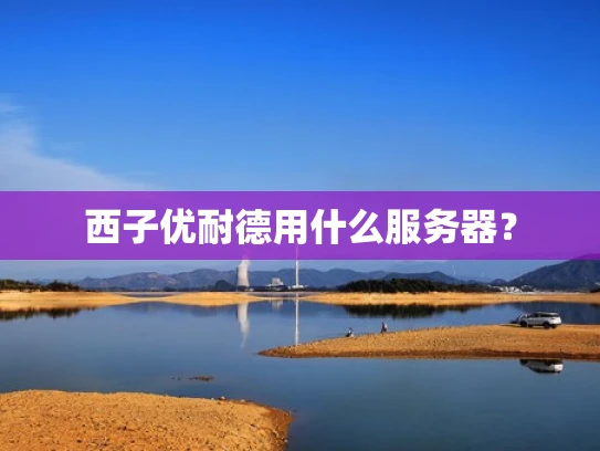 西子优耐德用什么服务器？