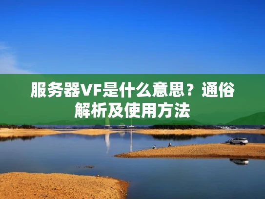 服务器VF是什么意思？通俗解析及使用方法