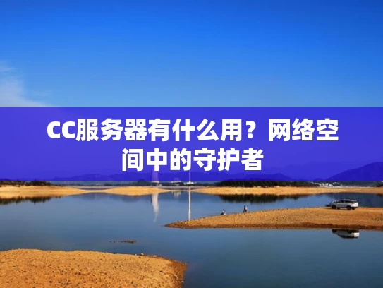 CC服务器有什么用？网络空间中的守护者