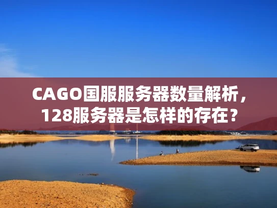 CAGO国服服务器数量解析，128服务器是怎样的存在？