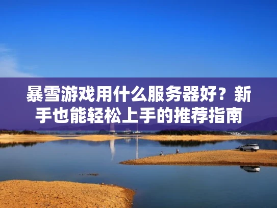 暴雪游戏用什么服务器好？新手也能轻松上手的推荐指南