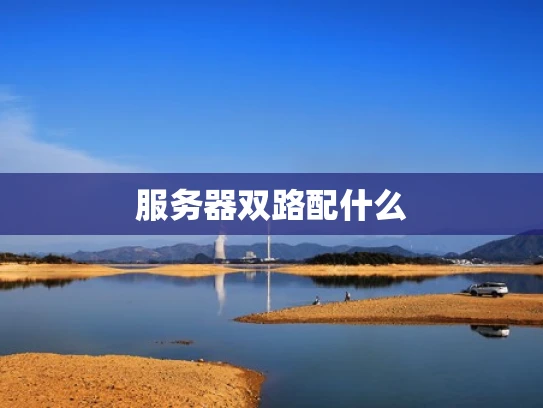 服务器双路配什么