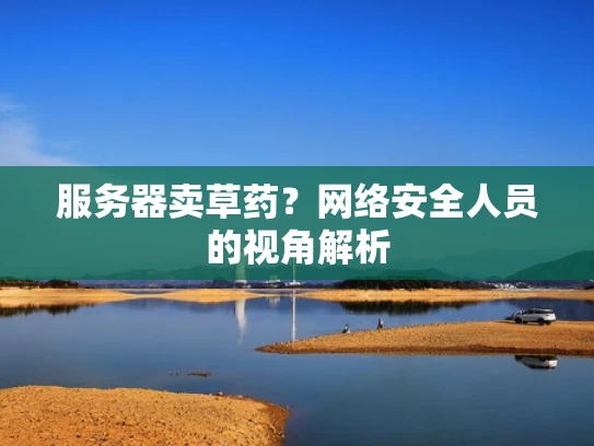 服务器卖草药？网络安全人员的视角解析