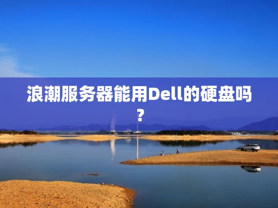 浪潮服务器能用Dell的硬盘吗？
