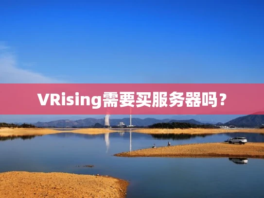 VRising需要买服务器吗？