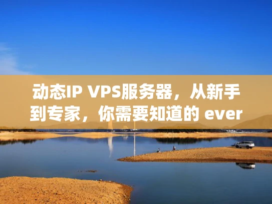 动态IP VPS服务器，从新手到专家，你需要知道的 everything