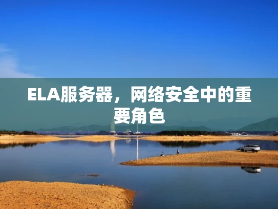 ELA服务器，网络安全中的重要角色