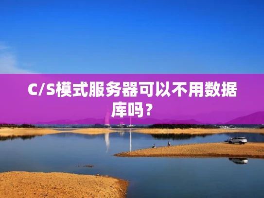 C/S模式服务器可以不用数据库吗？