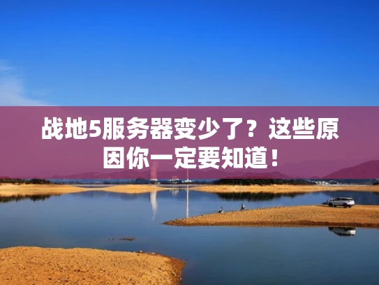 战地5服务器变少了？这些原因你一定要知道！