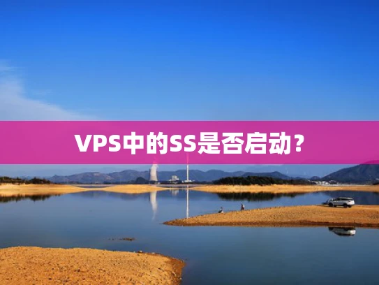 VPS中的SS是否启动？