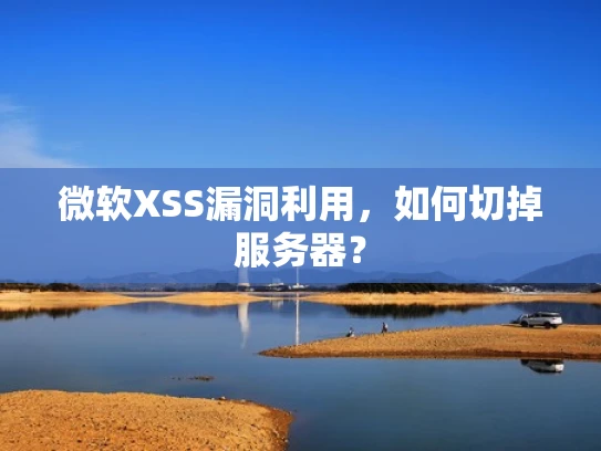 微软XSS漏洞利用，如何切掉服务器？
