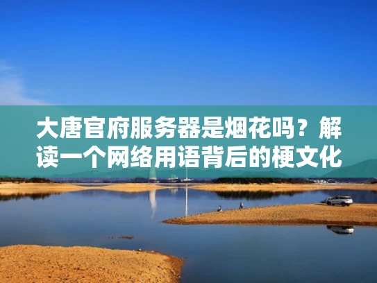 大唐官府服务器是烟花吗？解读一个网络用语背后的梗文化