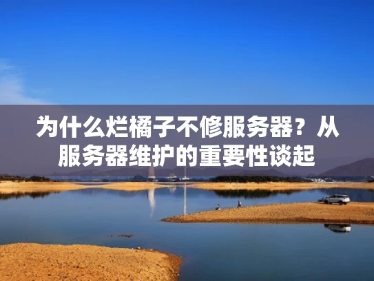 为什么烂橘子不修服务器？从服务器维护的重要性谈起
