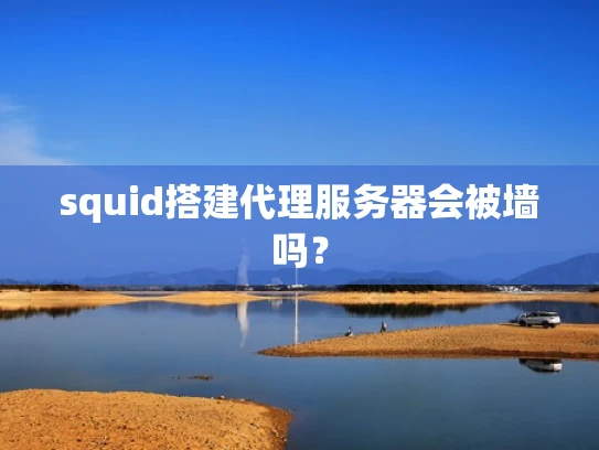 squid搭建代理服务器会被墙吗？