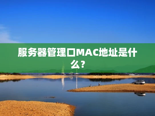 服务器管理口MAC地址是什么？