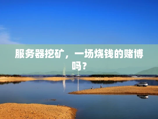 服务器挖矿，一场烧钱的赌博吗？