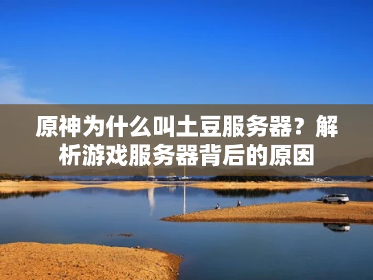 原神为什么叫土豆服务器？解析游戏服务器背后的原因