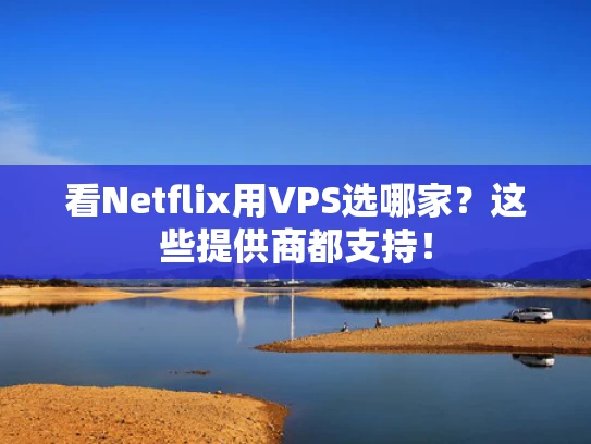 看Netflix用VPS选哪家？这些提供商都支持！