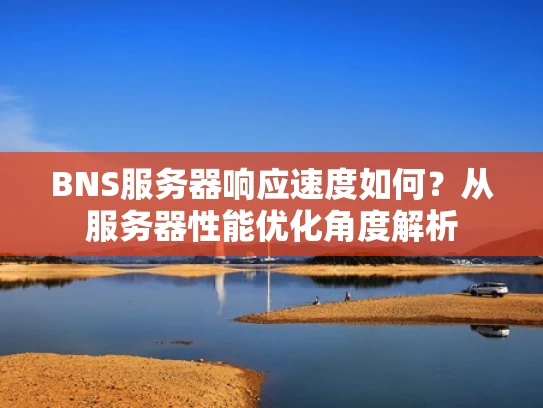 BNS服务器响应速度如何？从服务器性能优化角度解析