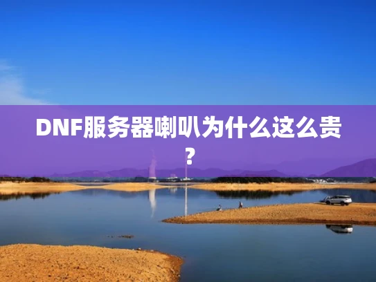 DNF服务器喇叭为什么这么贵？