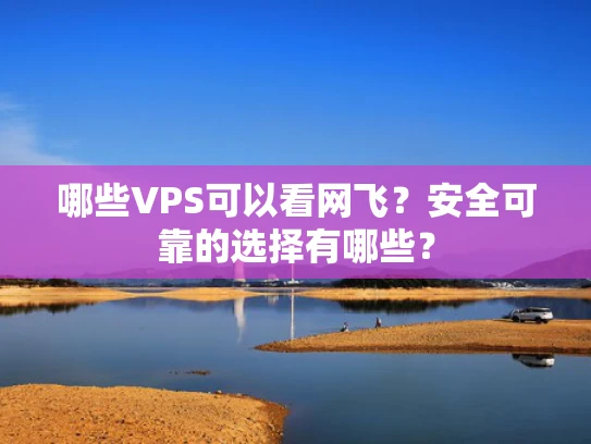 哪些VPS可以看网飞？安全可靠的选择有哪些？