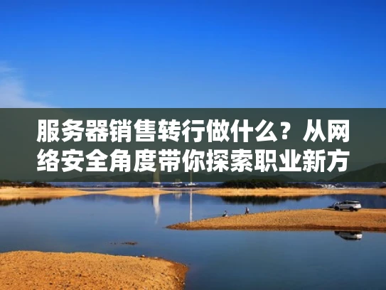 服务器销售转行做什么？从网络安全角度带你探索职业新方向