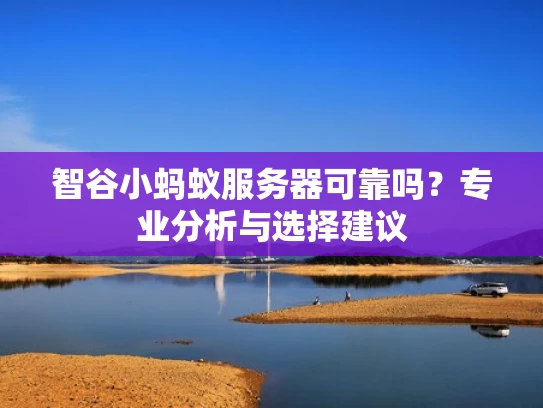 智谷小蚂蚁服务器可靠吗？专业分析与选择建议