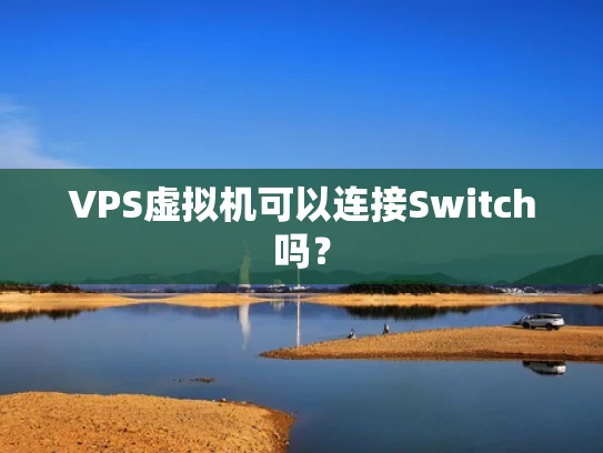 VPS虚拟机可以连接Switch吗？