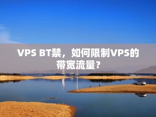 VPS BT禁，如何限制VPS的带宽流量？