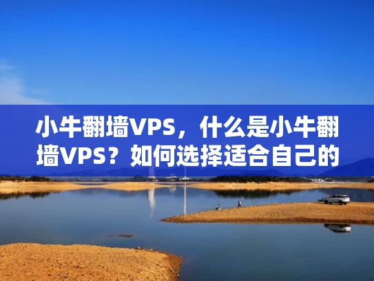 小牛翻墙VPS，什么是小牛翻墙VPS？如何选择适合自己的？